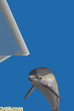 image100623_1123_014