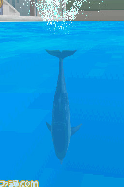 image100623_1148_010