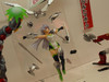 revoltech01