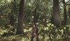 8234Argaan_Deer_Hunting_in_the_Woods