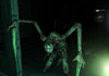 glow_slasher
