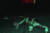 DSE_leaper_01