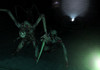glow_leaper