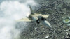 HAWX_DLC_screen_Mirage4000_4