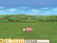 sagasega08