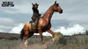 horse1