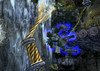 TMNTSU_Wii_Screenshot_Jungle_DestructPlatform_01