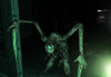 glow_slasher