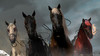 horse5