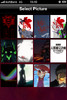 evangelion