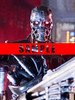 terminator5