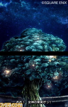 Imagen Enviada