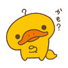 kamo