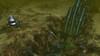 barrens1_final