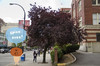 tree2-640