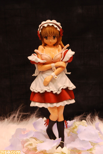 wonder024