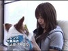 _哇