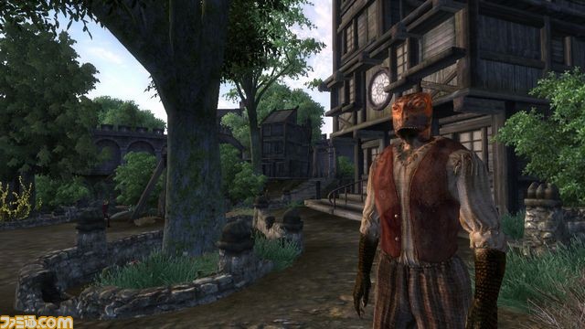 TES4_Bravil_Argonian