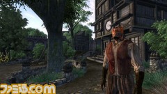 TES4_Bravil_Argonian