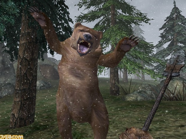 MW_GotY_Bear