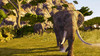 Cabelas_Dangerous_Hunts_8