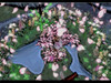 okami39