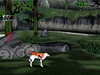 okami46
