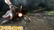 brainfox11