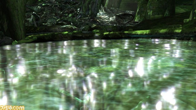 Mystical Forest