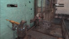 gow05
