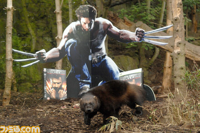 wolverine_4