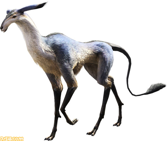 Antelope