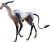 Antelope