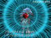 0910dqix017