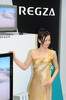 TN2_1691