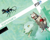 04_P3P_Poster