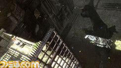 TORICO_01
