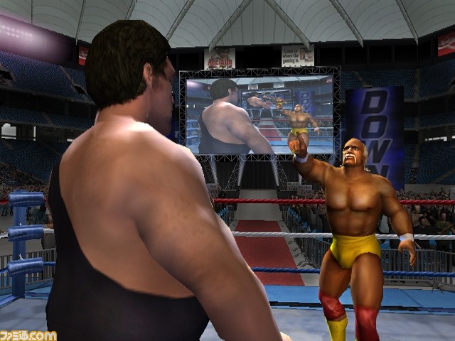 Hogan2