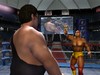 Hogan2