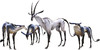 monster_antelope