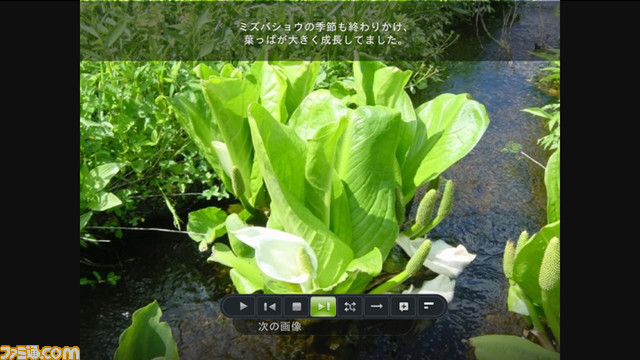 Facebook04