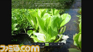 Facebook04