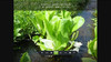 Facebook04