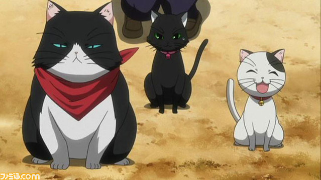 nyan17