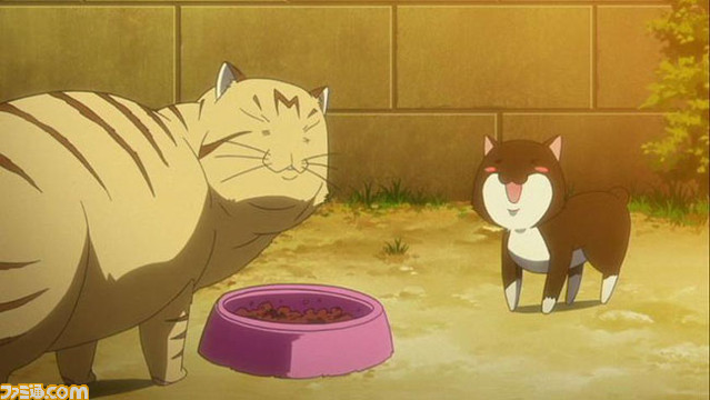 nyan11
