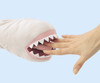 ݂ttxr[