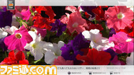 テレビ視聴1