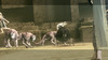 0204nier14