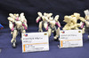 cms08