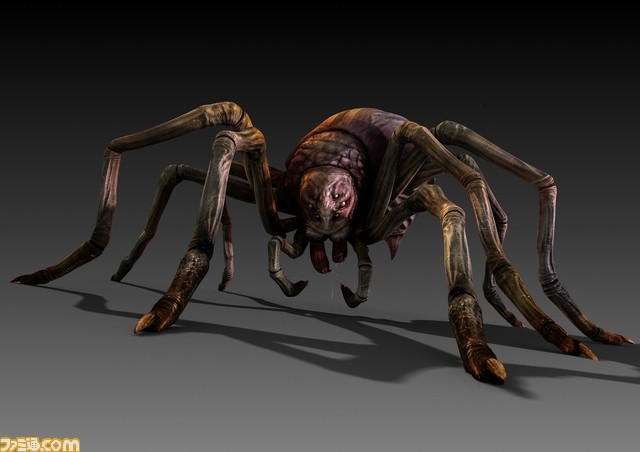 Spider_tga_jpgcopy